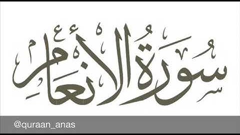 سورة الأنعام || أنس أكرم