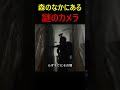 危険な謎の森とカメラの関係 #ホラー