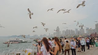 The World's Largest Square, Dalian Xinghai Square, Liaoning, China by Chao's Travel Log 137 views 3 months ago 1 hour, 3 minutes