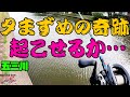【五三川】出るか!夕まずめのドラマフィッシュ!!!【バス釣り】【シャーベットヘアーチャンネル】