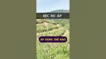 Béc bù áp áp dùng thế nào trong hệ thống tưới #vnplant