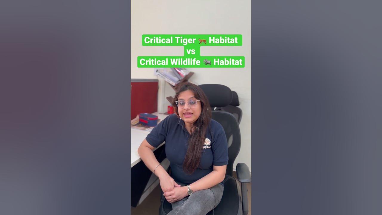 Critical Tiger Habitat vs Critical Wildlife Habitat #upsc #ias #
