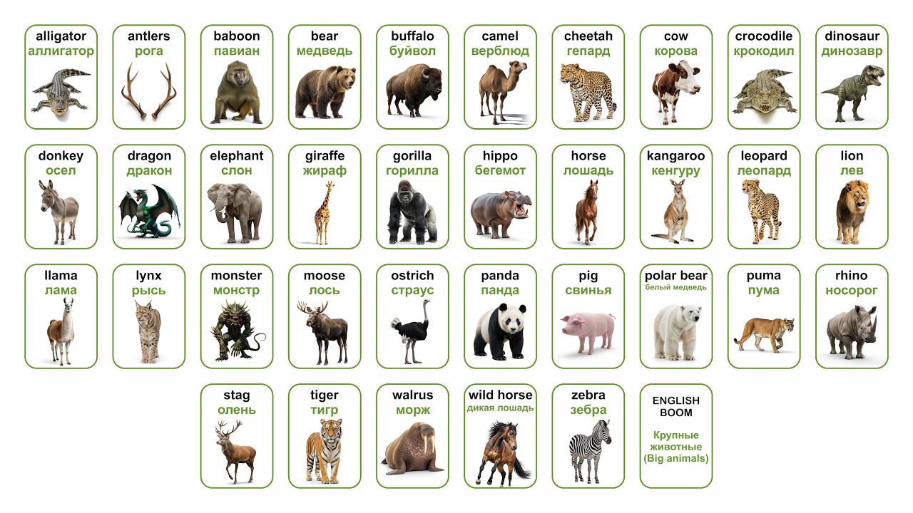 АНГЛИЙСКИЕ СЛОВА КРУПНЫЕ ЖИВОТНЫЕ (BIG ANIMAlS)