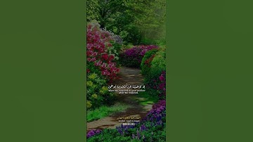 تلاوة خاشعة وصوت جميل ( قال ربي اشرح لي صدري، ويسر لي أمري)