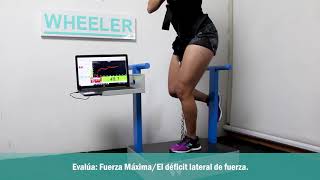 ISOMETRICA - [WHEELER TECHNOLOGY] 2020
