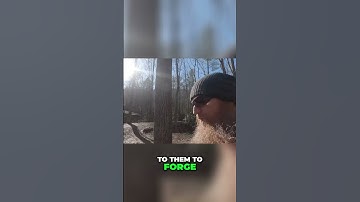 Master the Art of Knife Making: Inside a Forging Class