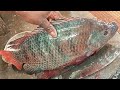 Amazing Tilapia Fish Cutting Skills In Bangladeshi | Big Fish Cutting Skills
