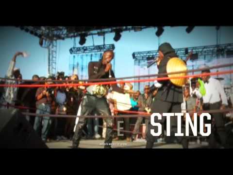 Stream Sting Jamaica Festival [Sting Jamaica Submitted]