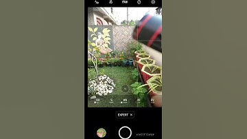 Bird Photography | 8x Objectif Telephoto Zoom Lens | Adcom India | #shorts #adcomindia