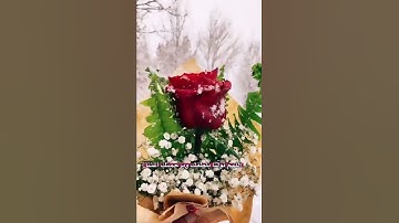 إن الله وملائكته يصلون على النبي ... // تلاوة خاشعة مؤثرة // تلاوة خاشعة وهادئة // ماهر المعيقلي