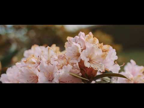 Hoya PRO ND 64 58 mm