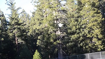 F-22 Raptor - SCRATCH BUILD maiden CRASH