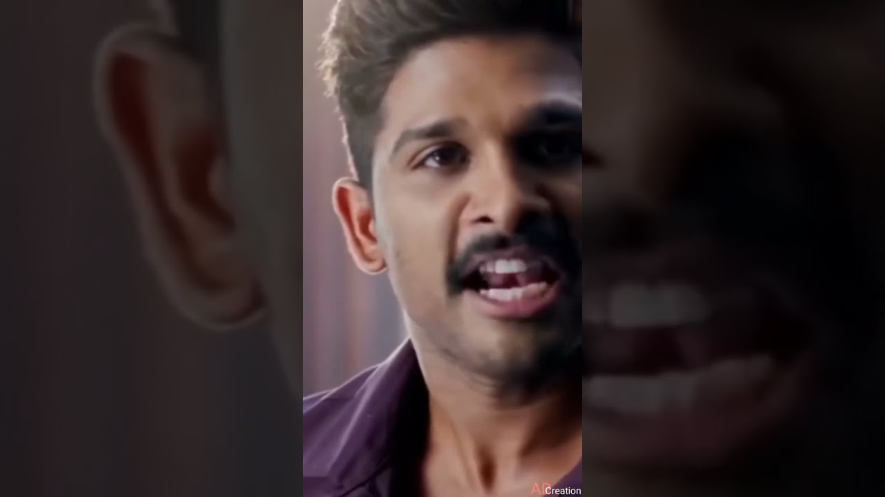 Sarrainodu fight scene in hindi!! Allu❤️arjun attitude status!! hindi whatsapp status