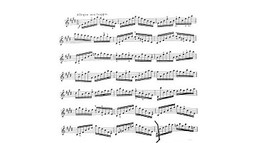 PRACTICE TEMPO - excerpt from Kreutzer etude no. 8 for violin
