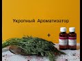 Самоделки для рыбалки. Укропный Ароматизатор на Карася. Прикормка своими руками для рыбы