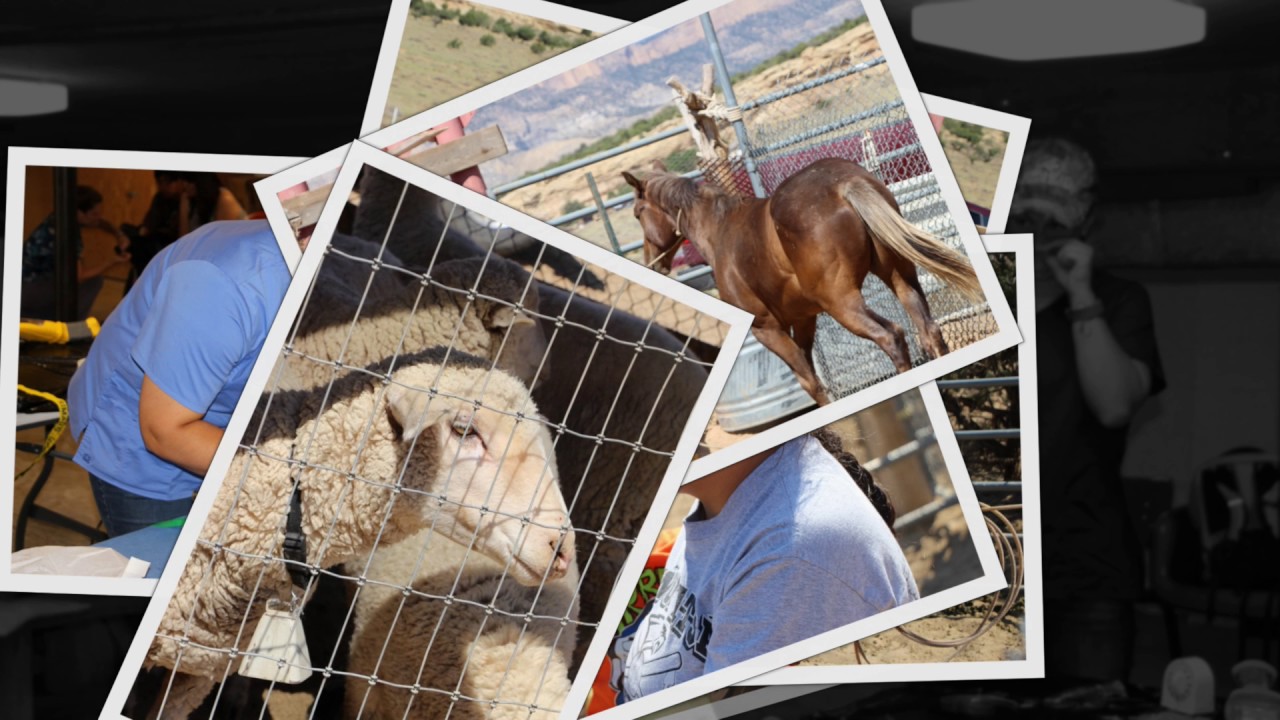 Kayenta Christian Veterinarian Mission Group YouTube