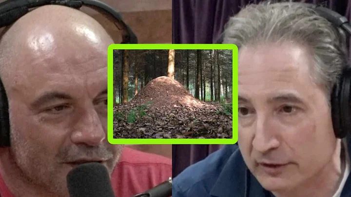 Physicist Brian Greene Has a Theory on Why Aliens ...