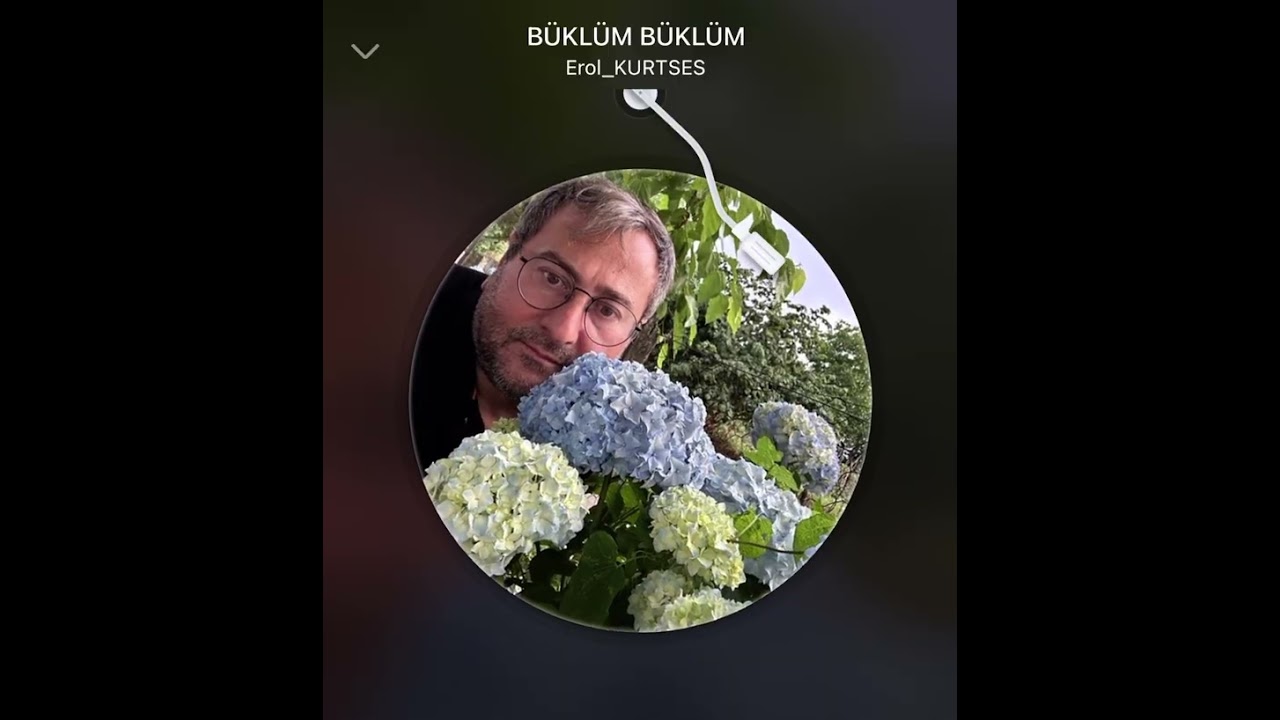 Büklüm büklüm- Kürdi makam, Beste/Güfte: Sezen Aksu
