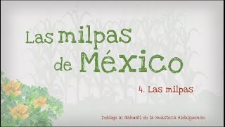 4.- Las milpas de México, las milpas, versión en Náhuatl