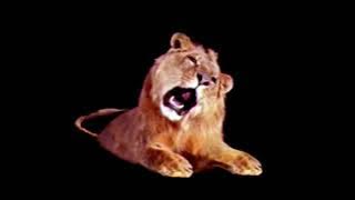 Leo The Lion Footage (1957)