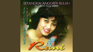 Download Lagu Setangkai Anggrek Bulan MP3