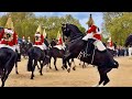 Household cavalry incident update