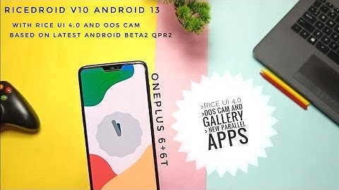 Ricedroid  v10 Android 13 OnePlus plus 6+6t with OOS cam indepth review: The rise of beauty!