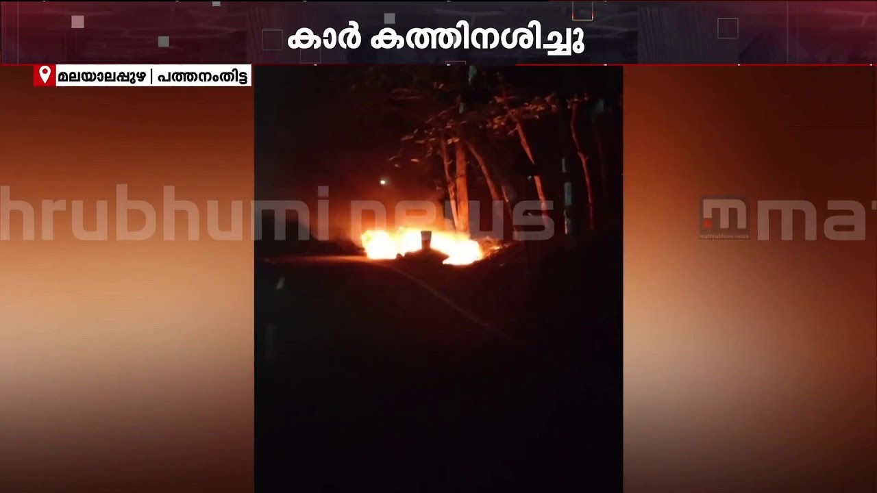 കാട്ടുപന്നി കുറുകെ ചാടി; നിയന്ത്രണം വിട്ട ഇലക്ട്രിക് കാർ മതിലിലിടിച്ച് കത്തിനശിച്ചു