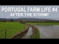 Portugal WINTER Storms and FLOODING | Portugal Farm Life 2-04