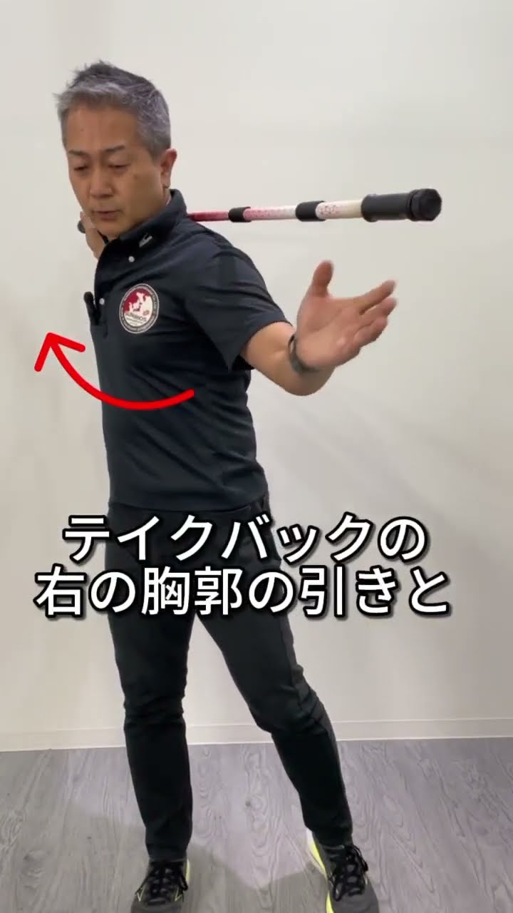 アシスティック ストレッチポール アシスティック（Assistick） : ストレッチ