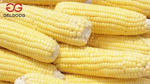 2021 Fresh Corn Thresher Machine From cara@machinehall.com 008613015518550