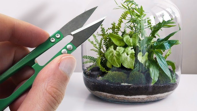 Fabriquer son terrarium avec le kit Boby la plante 💚 - Lucky