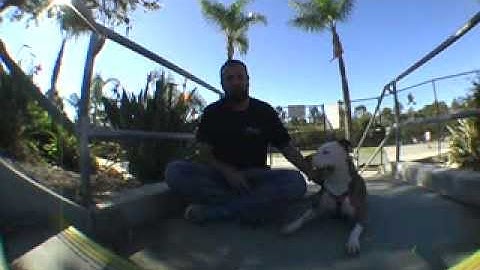 Trick Tip Lipslides On Ledges