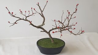 Cómo hacer un ÁRBOL con FLORES en miniatura con PIÑAS de ABETO