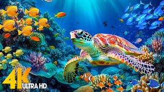 The Ocean 4K - Sea Animals for Relaxation, Beautiful Coral Reef Fish in Aquarium (4K Video Ultra HD)