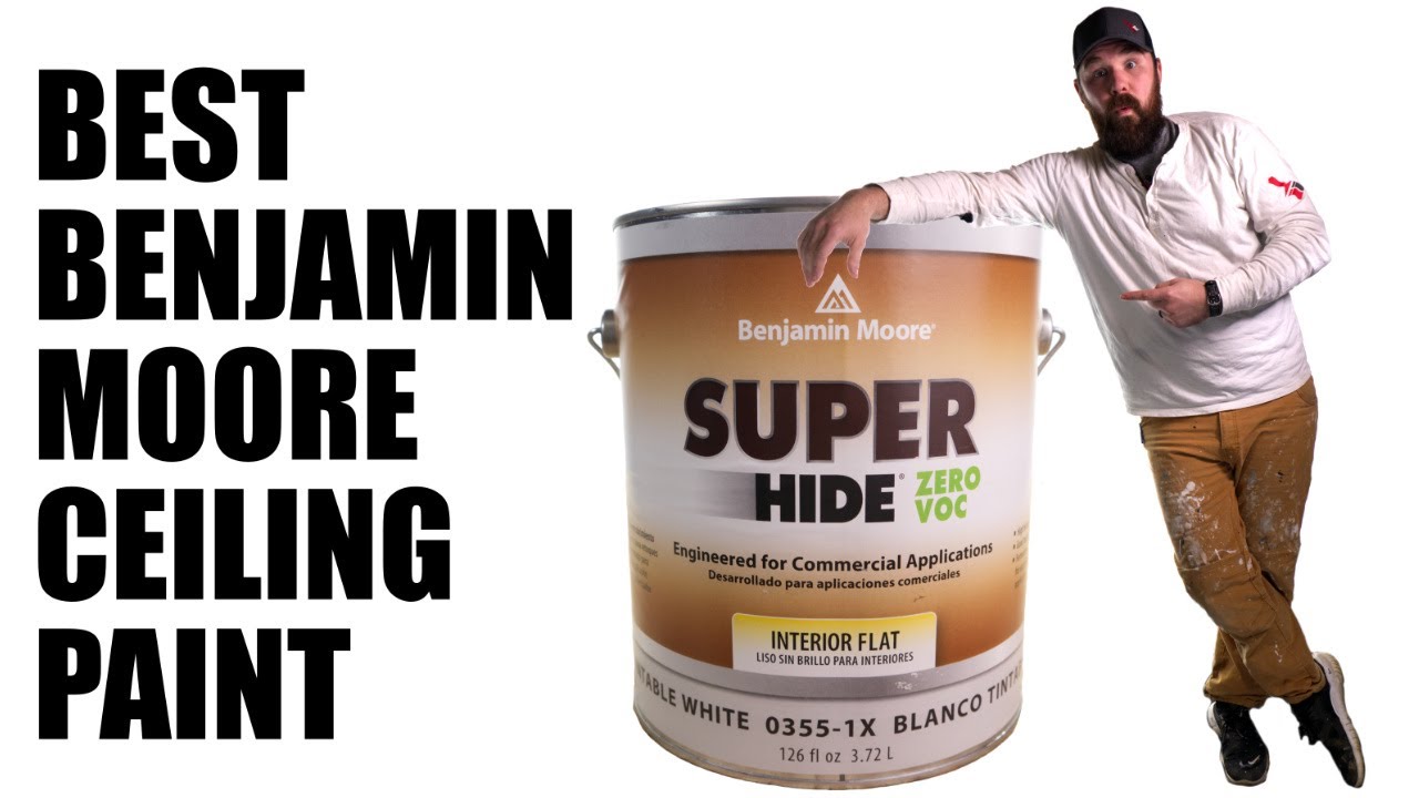 Super Hide Interior Latex Paint - Flat 282