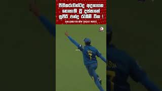 මතකද මේ ටික❤️  Dasun shanka best catches?  sri lanka cricket top catches