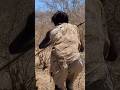 Hadzabe use very heavy bows for hunting.#shorts #youtubeshorts #hadzabetribe