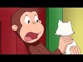 Jorge el Curioso en Español 🐵Fiebre de Mono 🐵Mono Jorge🐵Caricaturas para Niños