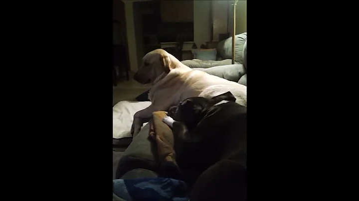 Mom, he's touching me