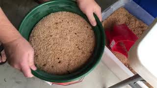 Separating Mealworm Beetles from Eggs