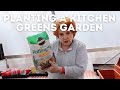 Planting a Kitchen Greens Garden