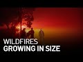 Wildfires Burning Across the Bay Area Are Not Slowing Down