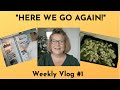 Weekly Vlog #1: Here We Go Again!