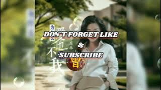为什么爱他不爱我 Wei she me ai ta bu ai wo 李乐乐 Li le le