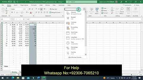 Exp19_Excel_Ch09_CapAssessment_Tips | Excel Chapter 9 Capstone Assessment – Tips | PEARSON MYITLAB