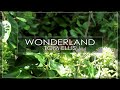 Autumnal Wonder / Wonderland - Tom Ellis (Official Lyric Video)