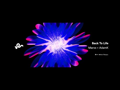 Watch Marvo + AdamK - Back To Life on YouTube