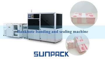 Banknote banding and sealing machine packaging machine