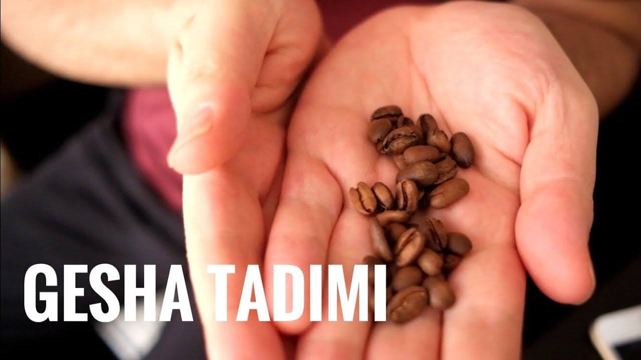 DÜNYANIN EN PAHALI KAHVE VARYETESİ GESHA TADIMI YouTube